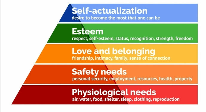 The Driving Forces Affecting Your Thoughts and Behaviors.